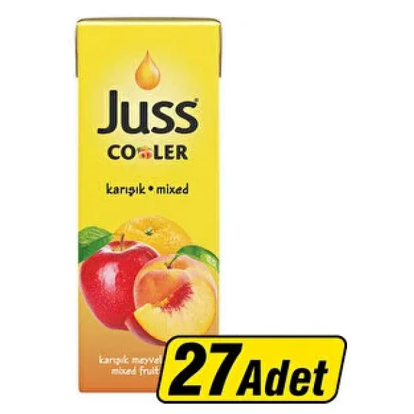 Juss Cooler Karşık Meyve Suyu 27x200 ml