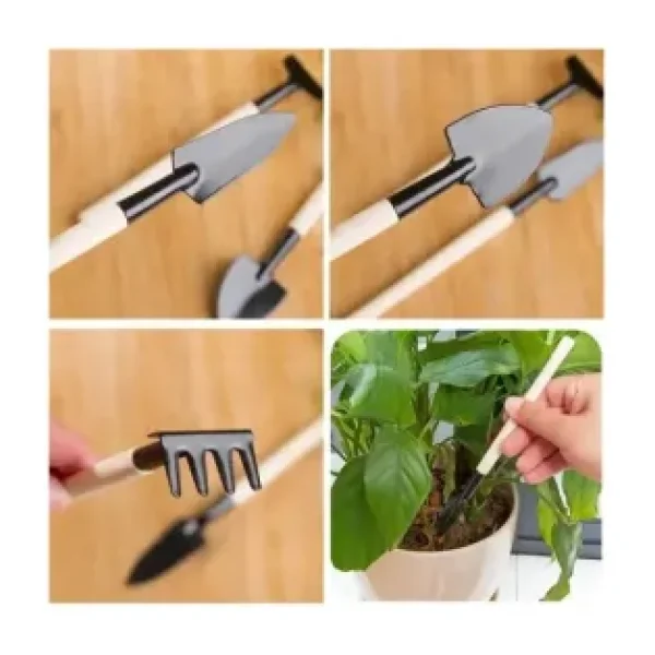 Eco Lounge Mini Ahşap Hobi Bahçe Seti 3 Parça