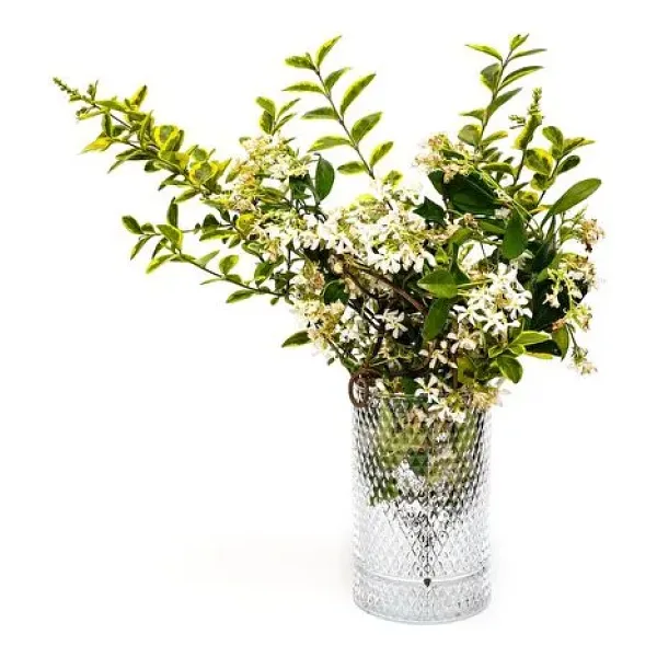 MİSSİ Diamond Cam Vazo/Mumluk (17 cm)