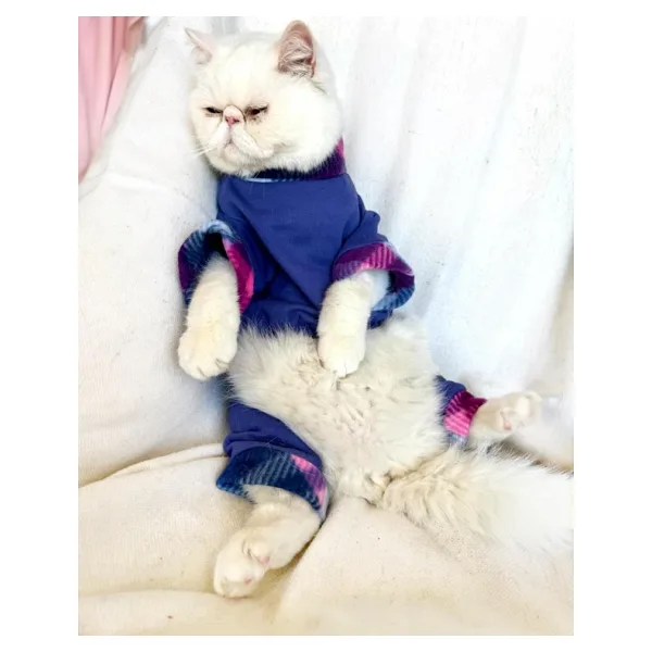 Monogram Purp Polar Kedi Tulum Pijama