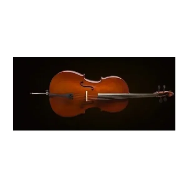 Valencia CE160F44 4/4 Çello