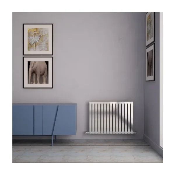 Carisa Sarp Yatay Paslanmaz Çelik Radyatör Modern Tasarım Ayna Polisaj 60x81 Cm