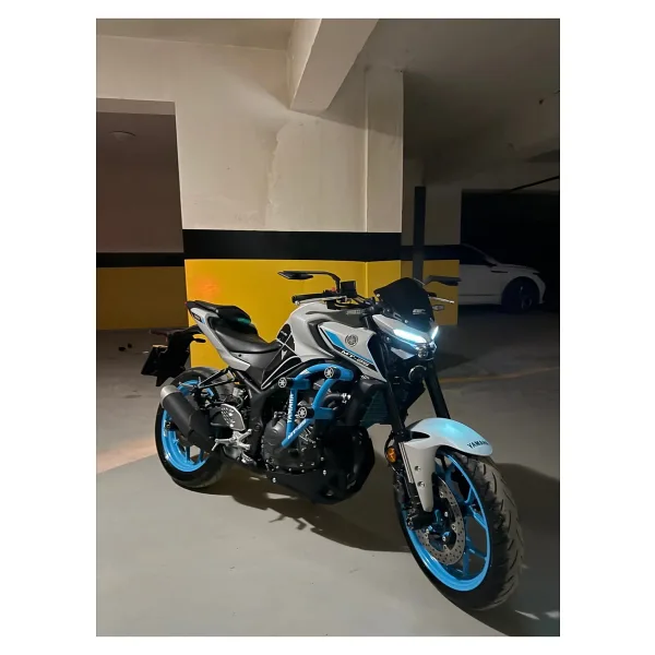 Yamaha MT-25 ÖN 6 TAKOZ KORUMA DEMİRİ İCE STORM