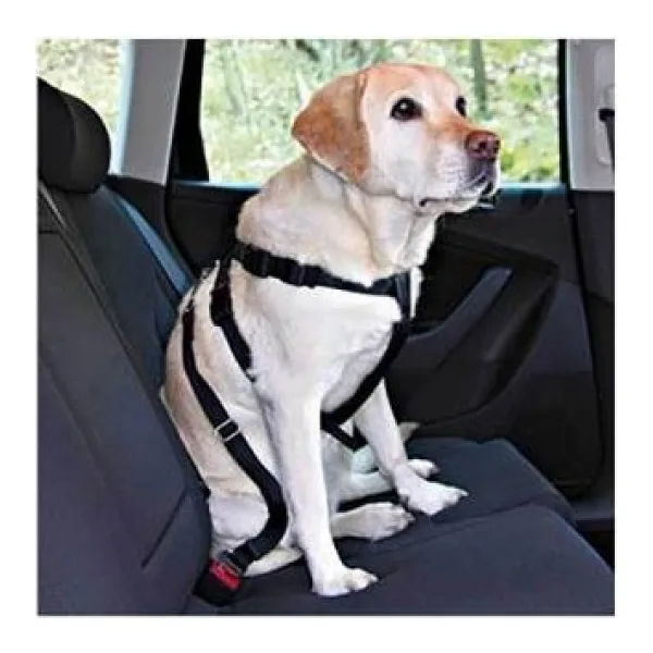 Köpek Emniyet Kemeri Medium 50-70 Cm
