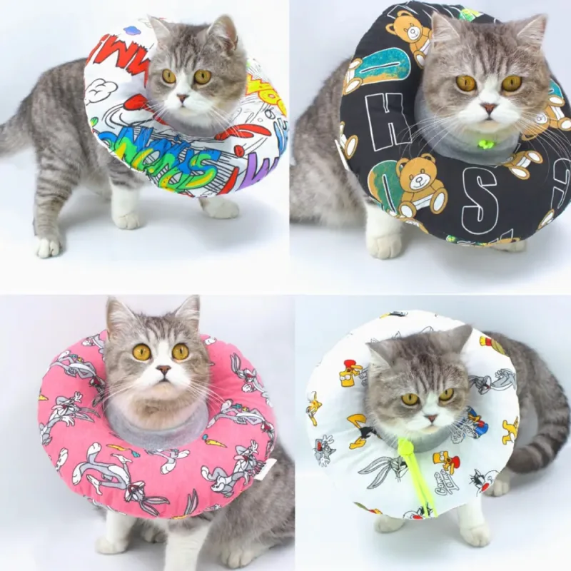 Lepus Kedi Ve Köpek Boyunluk (M) Mix