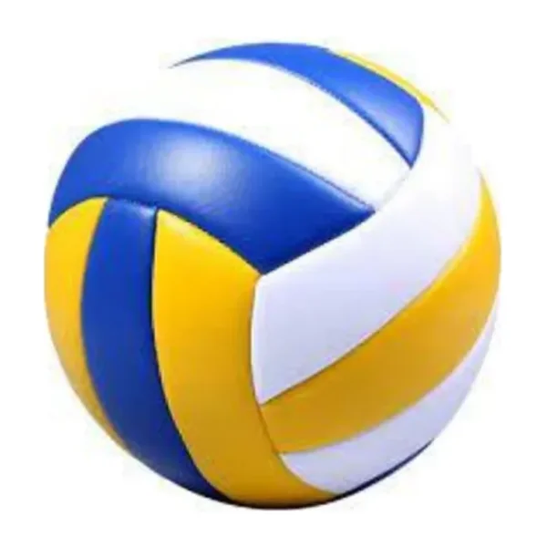 Janva Janva Voleybol Topu Dikişli Renkli Beyaz