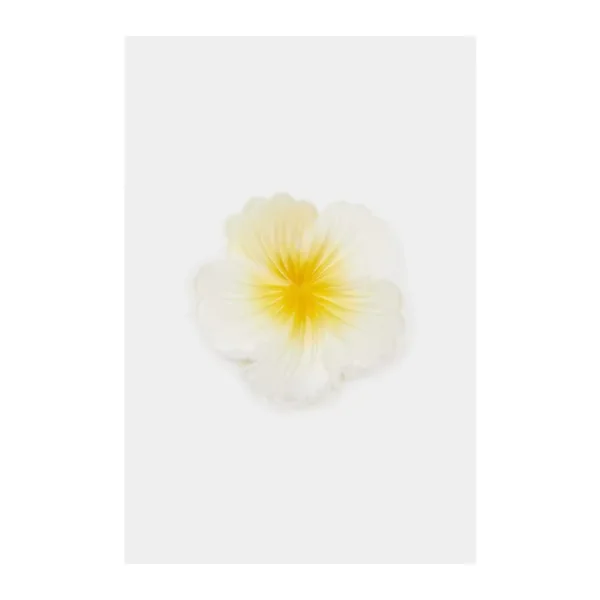 DeFacto Kadın Beyaz Lotus Mandal Toka F4962AXNS