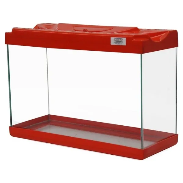 Kanki Pet KP3018 30 cm Renkli Kapak Mini Akvaryum
