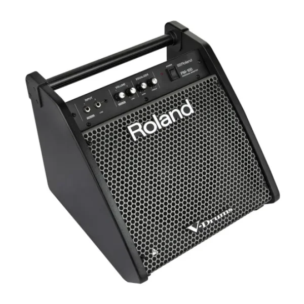 Roland PM-100 80 W Davul Monitörü