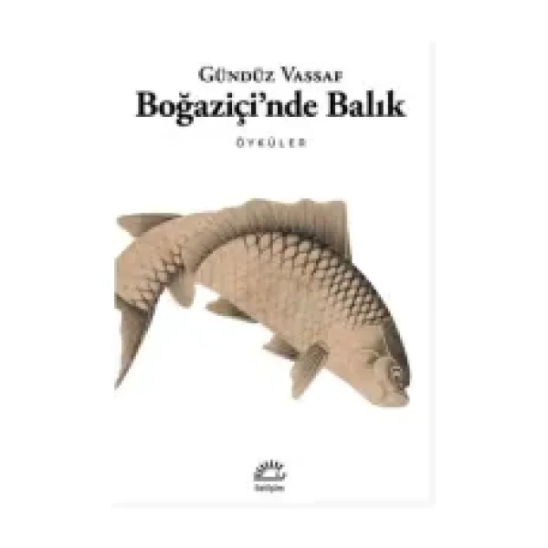 Boğaziçi'nde Balık - Gündüz Vassaf