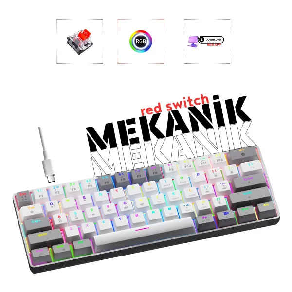 Rever Mekanik Oyuncu Klavyesi Red Switch Rgb LED Işıklı Kablolu Gaming Klavye