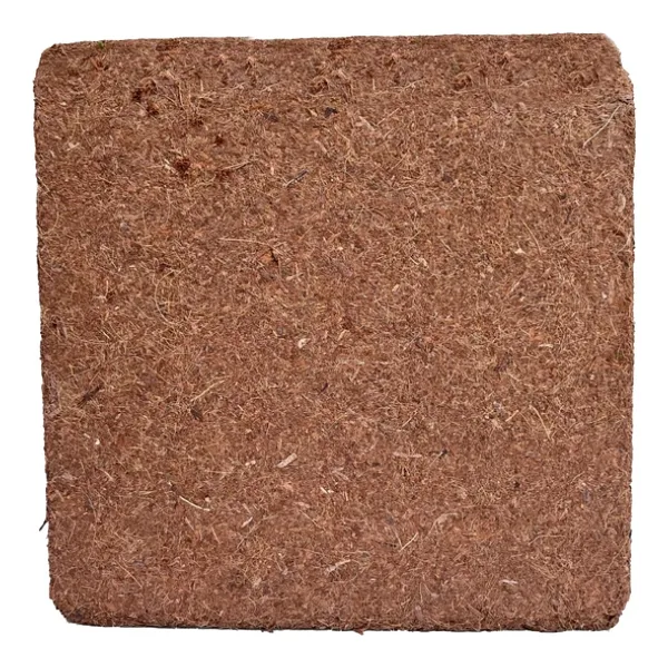 Biorfe Premium Cocopeat 5 Kg Sıkıştırılmış Hindistan Cevizi Torfu