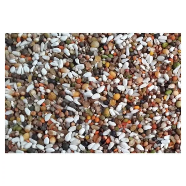 Güvercin Yemi Karışık Güvercin Yemi Lüx Ekonomik Açık 1 Kg