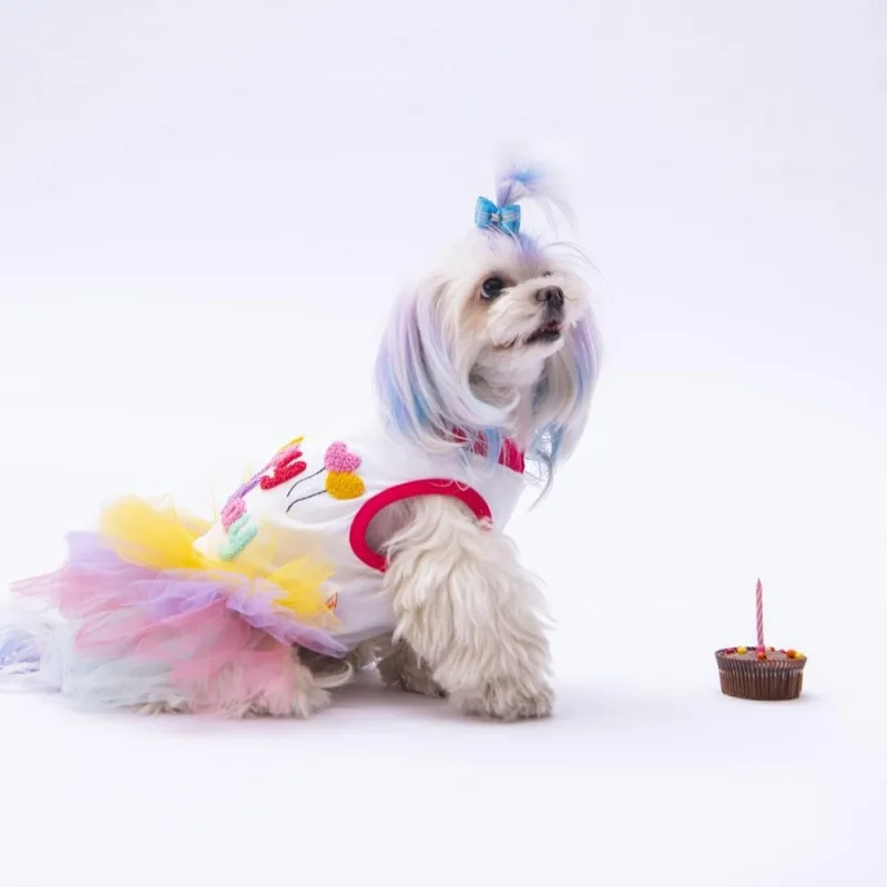 Pawstar Happy Birthday Kedi Köpek Elbisesi - Kedi Köpek Kıyafeti