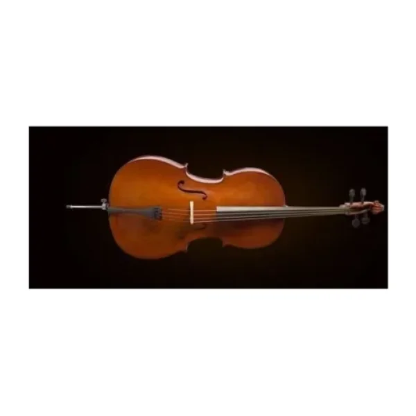 Valencia CE160G44 4/4 Çello