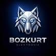 Bozkurtelektronik.com