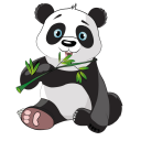 Mucitpanda